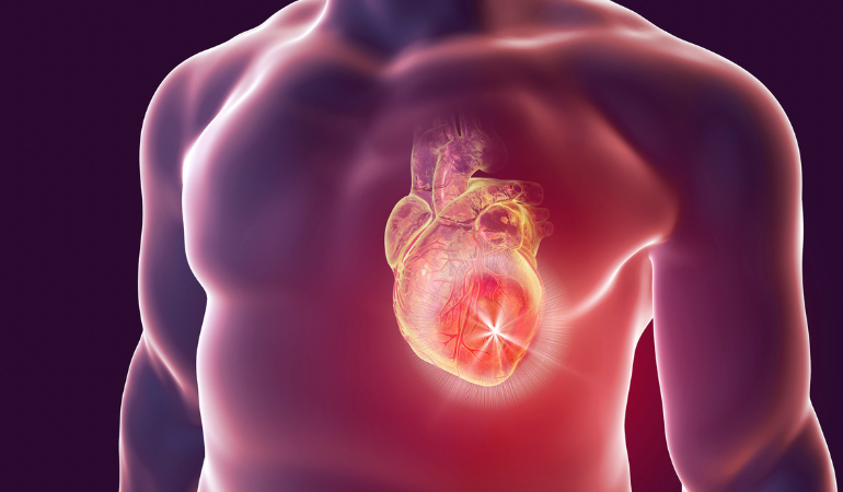 Lower Your Heart Attack Risk: Doctor-Approved Daily Habits You Can Start Today